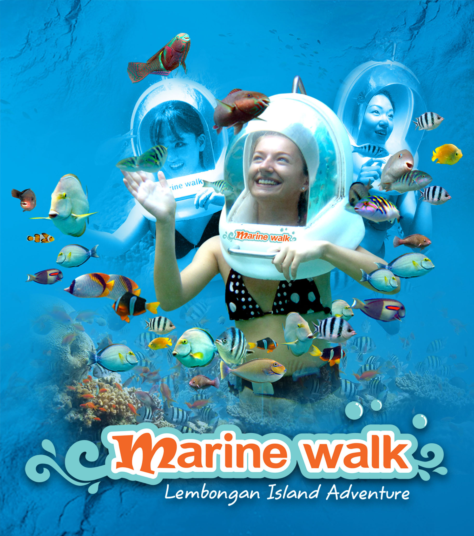 Bali Marine Walk Tour from Lembongan Island ( all inclusive)